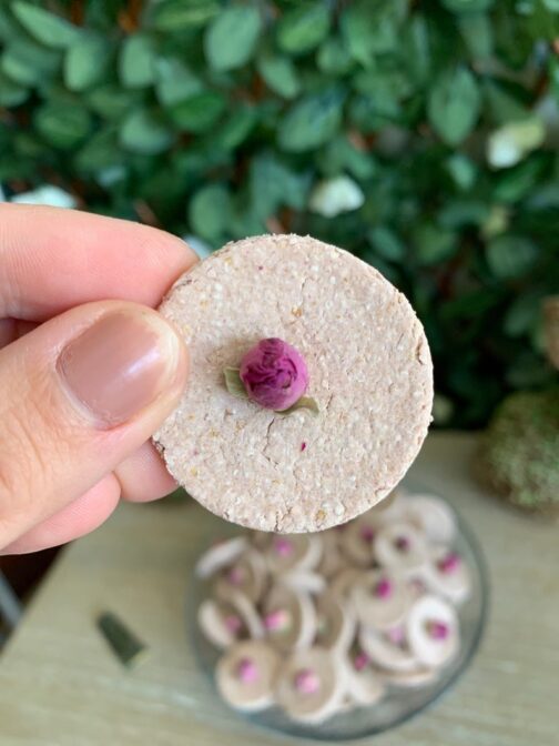 Rabbit & Guinea Pig Treats